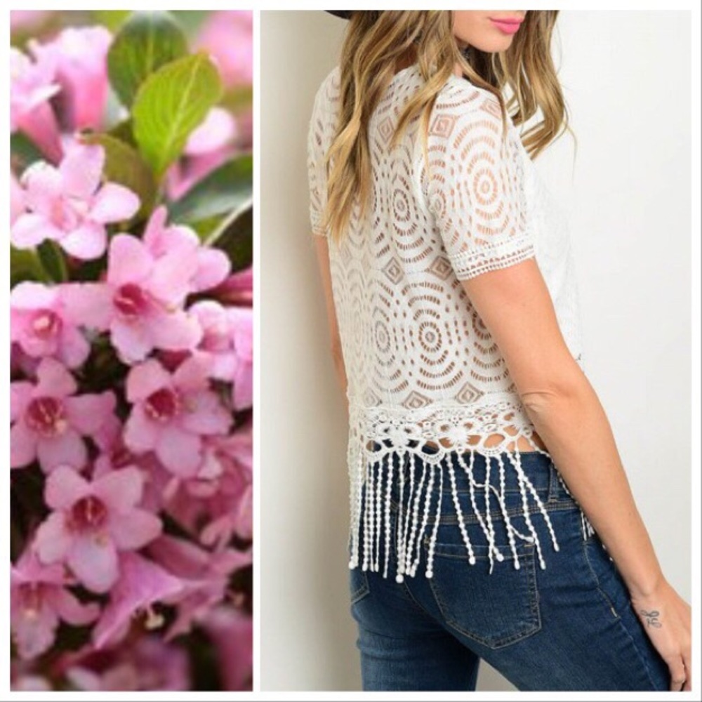 *TAKING DOWN* Antique Lace & Fringe Festival Top - Picture 2 of 8
